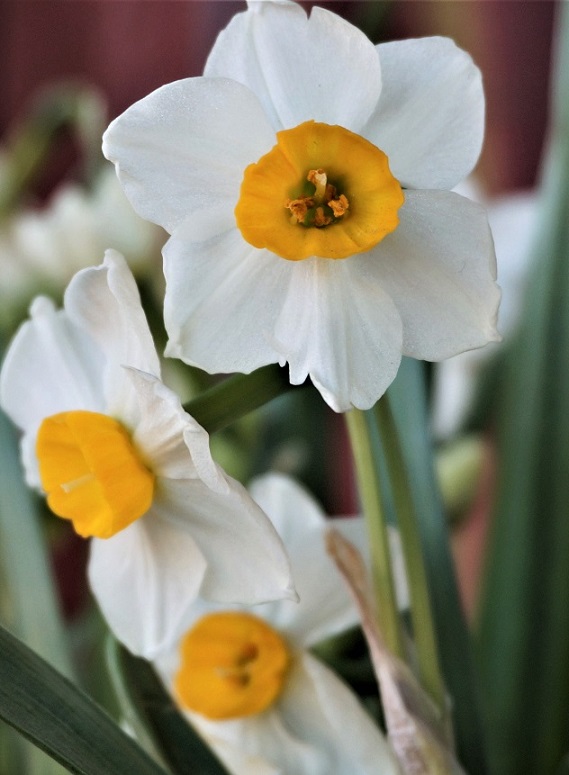 行攝京華大地——最美北京，在冬天