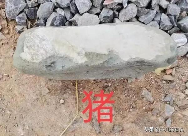 十二生肖畫面奇石,想要湊齊真不容易 十二生肖畫面奇石,想要湊齊真不容易