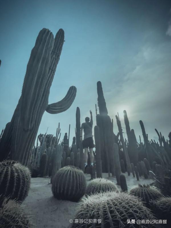 去了八次廈門之後，告訴你這30件事最值得