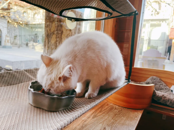 我 · 美食博主 · 觀復煎蛋