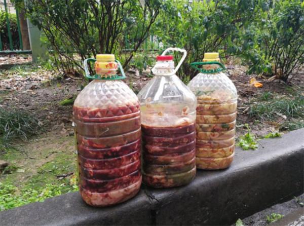 家庭漚肥的簡單方法，老花友分享沒那麼難，新手花友也容易操作