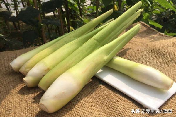 秋天少吃南瓜紅薯,多吃水4寶,貼秋膘,防秋燥,開啟健康養生 秋天少吃南瓜紅薯,多吃水4寶,貼秋膘,防秋燥,開啟健康養生