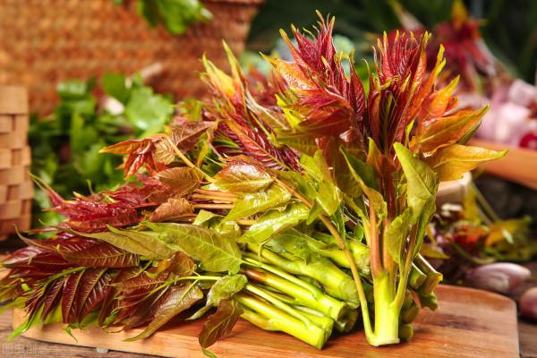 盤點六種最難吃的蔬菜，你吃過幾種