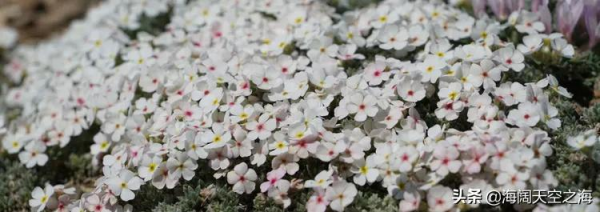 這裡是新疆|全畫幅美景(2) 這裡是新疆|全畫幅美景(2)