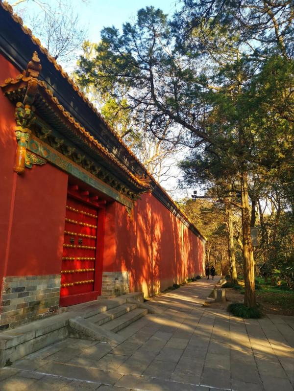 冬日有暖陽 冬日有暖陽