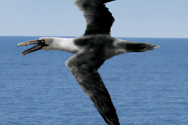 十大遠古巨獸排行榜,大象如點心鯊魚像幼崽,有一種至今還存在? 十大遠古巨獸排行榜,大象如點心鯊魚像幼崽,有一種至今還存在?