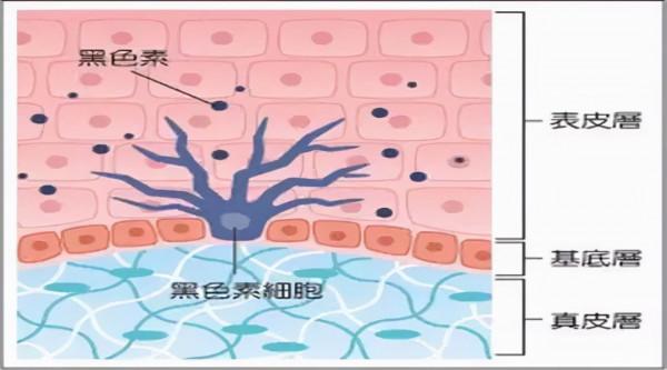 為什麼和黑人生的孩子，基本都是黑的，或者黑的比例佔了大部分？
