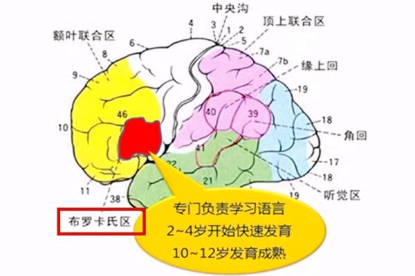 開口早的寶寶聰明，還是開口晚的娃聰明？這個時間開口說話更聰明