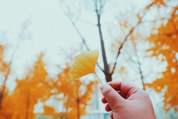 美成一個童話，只想在科學城的秋中多呆一會！