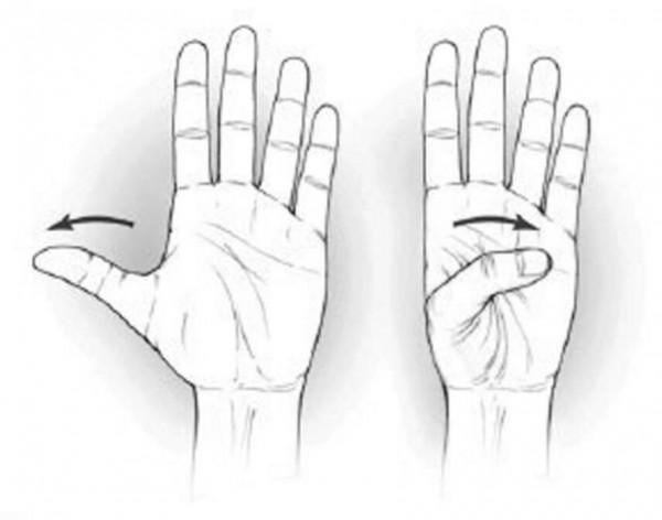 如何健康玩轉電競?鍛鍊手部和腕部,辦公族同樣適用 如何健康玩轉電競?鍛鍊手部和腕部,辦公族同樣適用