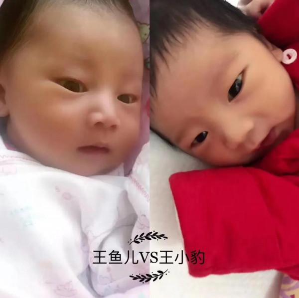 應對產後漏奶 黃芪排骨湯安排上 應對產後漏奶 黃芪排骨湯安排上