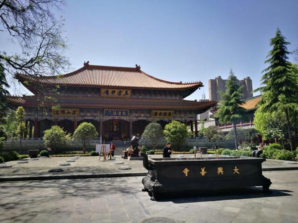 西安一座千年古寺,因彼岸花成為熱門網紅打卡地,遊客卻直呼上當 西安一座千年古寺,因彼岸花成為熱門網紅打卡地,遊客卻直呼上當