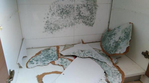 一樓太潮怎麼辦？我在一樓住了三年，總結出五個裝修建議