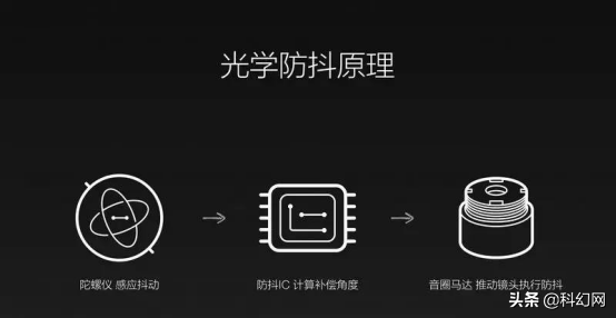 “雞頭穩定器”天然超級防抖“攝像雞”中的戰鬥雞