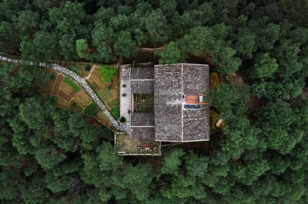 廣州自駕1h，清遠筆架山浪漫野奢民宿，無邊森林泳池丨外寓