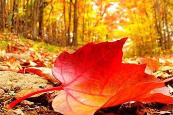 年少不知父母恩,半生糊塗半生人 年少不知父母恩,半生糊塗半生人