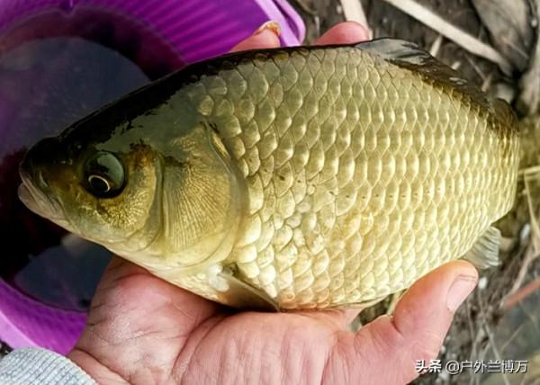 釣魚不想“被打”,請不要有這些舉動 釣魚不想“被打”,請不要有這些舉動