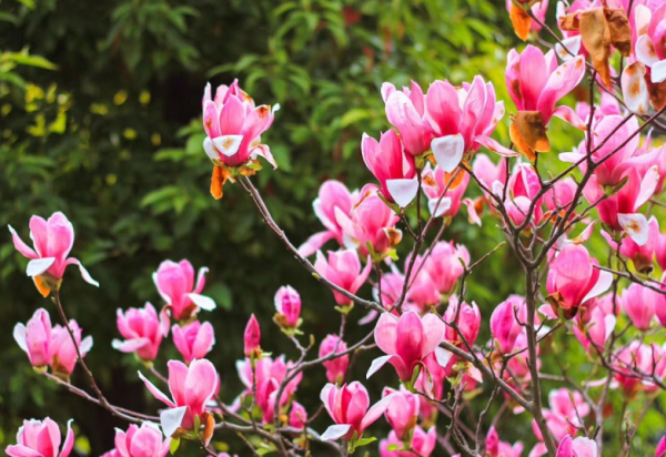 2022年，4個星座，不放棄不悲觀不埋怨，努力奮鬥，成就不凡