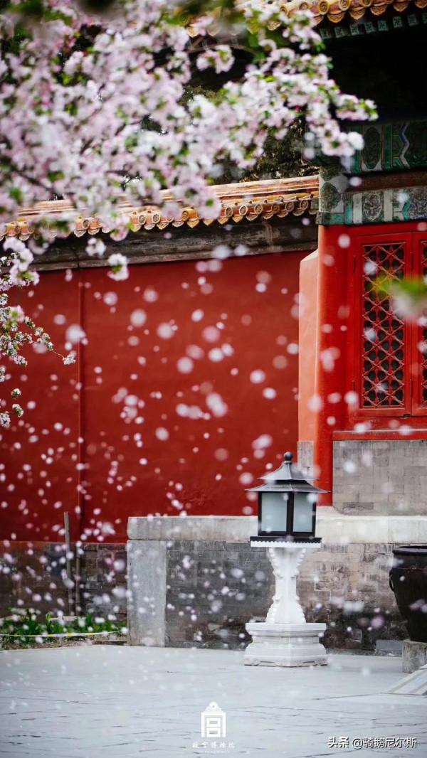 驚豔了時光，尋找故宮之美