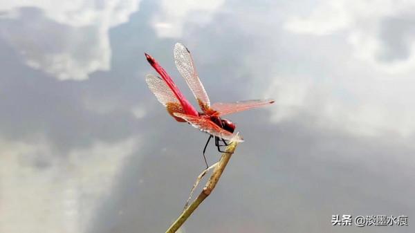 尋找幸福（一）