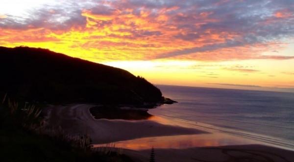 旗魚槍魚金槍魚，到底誰是誰？