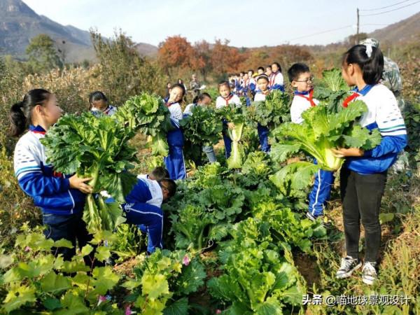 30個美麗鄉村盈利專案推薦