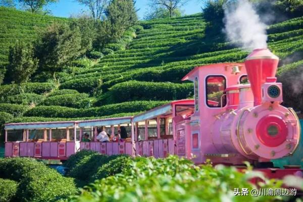 中國最美櫻花海，曾登上《國家地理》封面，即將進入觀賞期