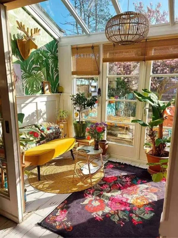 建議：適合客廳養的“大盆栽”，顯高階，幸福感倍增