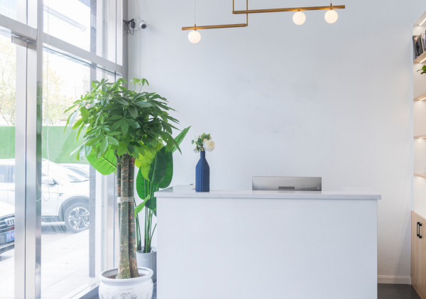 適合客廳養的12種“旺財花”,美觀大氣,格調高雅,養人還旺家 適合客廳養的12種“旺財花”,美觀大氣,格調高雅,養人還旺家