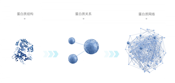 效果媲美AlphaFold2,國產蛋白結構預測平臺TRFold排名全球第二 效果媲美AlphaFold2,國產蛋白結構預測平臺TRFold排名全球第二