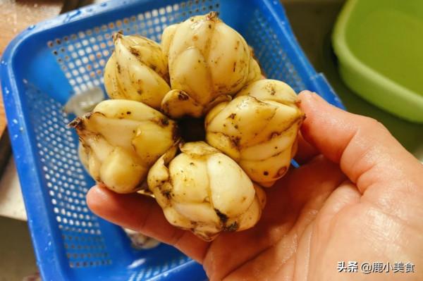 秋季乾燥,建議多吃這個“白色食物”,潤肺降燥營養,味道特鮮甜 秋季乾燥,建議多吃這個“白色食物”,潤肺降燥營養,味道特鮮甜