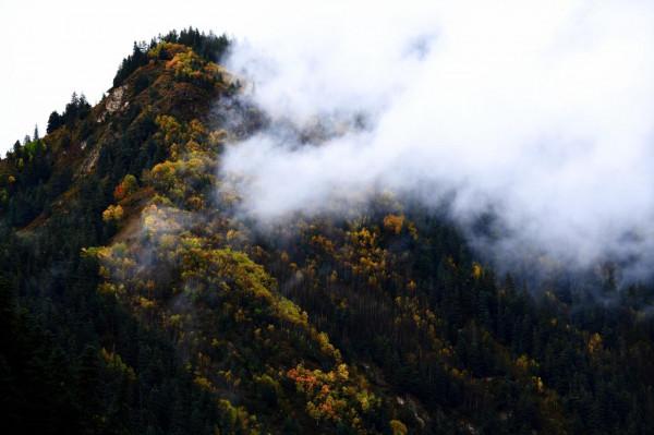 深秋,走一回川西高原美麗的畫廊 深秋,走一回川西高原美麗的畫廊