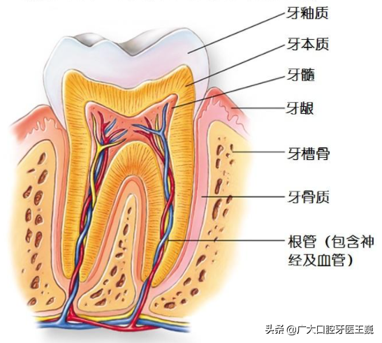 牙齒突然“變白”不一定是好事，小心爛牙！這樣做能保住牙齒