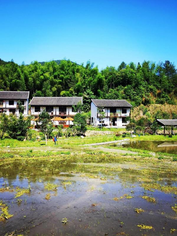 陳寅恪故里的風景(2021/06/05-07) 陳寅恪故里的風景(2021/06/05-07)