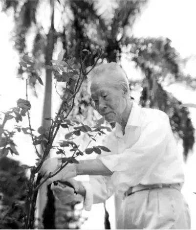 中國軍神：擊斃日本3.3萬，勝利後遭軟禁33年，至今棺槨未入土