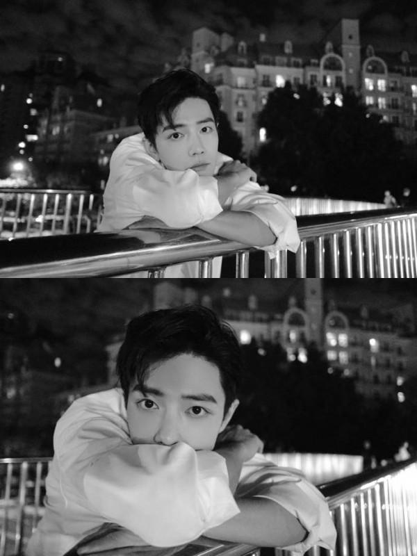 明星過中秋：肖戰楊紫曬出月餅合照，趙麗穎放國風大片送祝福