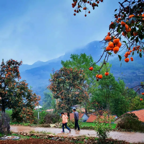 10個藏在深山不為人知的古村落，竟是絕美的“世外桃源”