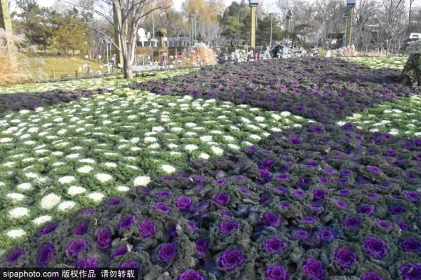 2021的最後這16天，這16件事超值得做！