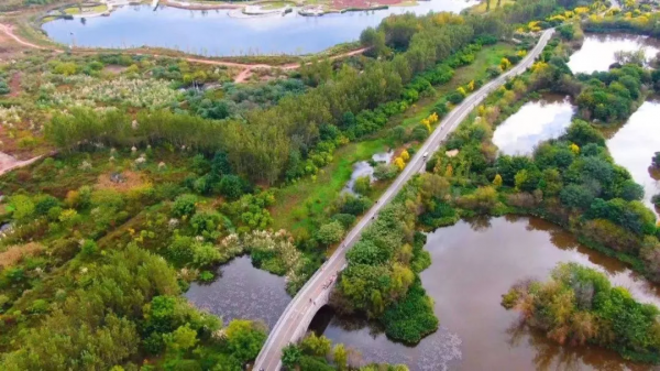 抓住假期的尾巴，來一趟生態遊，放鬆從&OpenCurlyDoubleQuote;森&rdquo;呼吸開始