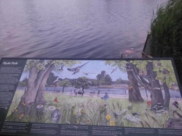 海德公園晨跑和夜跑