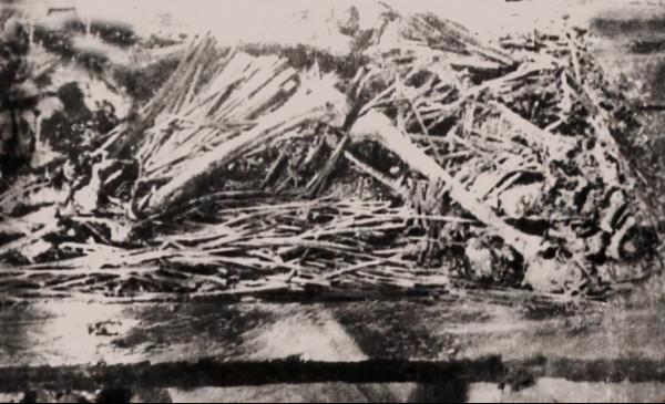 湖北出土秦代墓，國寶級雲夢秦簡現身，終於知道秦為何能統一六國