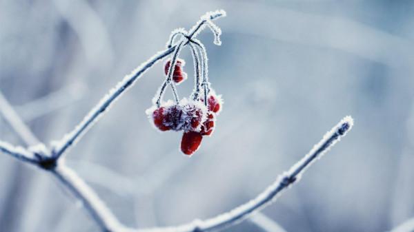 五個能讓我們過好人生的句子，你最喜歡哪個？