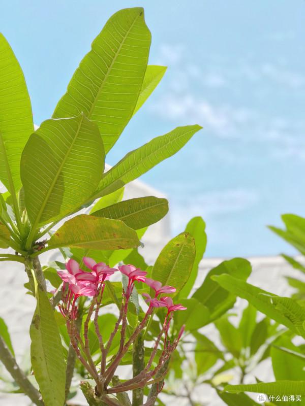 紀念一下普吉島最美海灘,奈涵,還有那奈涵最美酒店 紀念一下普吉島最美海灘,奈涵,還有那奈涵最美酒店