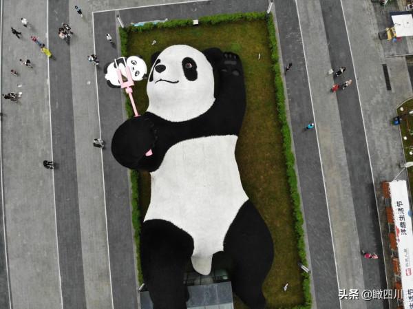 “大黃鴨之父”在中國建了座全球最重大熊貓雕塑:130噸重26米長 “大黃鴨之父”在中國建了座全球最重大熊貓雕塑:130噸重26米長
