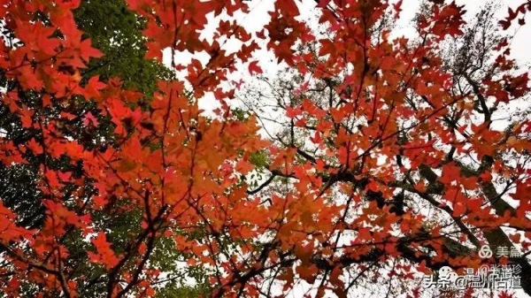 茶山紅旗渠--龍王千步梯，大羅山這條驢線你走過嗎？