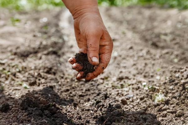 11月起，農村4種東西將漲，取暖費、化肥都在漲，菜油也吃不起？