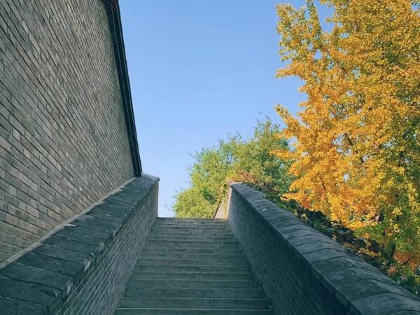 北京6家小眾公園&amp;周邊吃喝不完全指南，重拾兒時的美好與神仙級美味