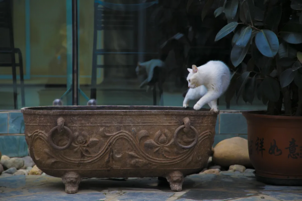 脖子扭扭屁股扭扭，久坐傷身讓我們來做運動