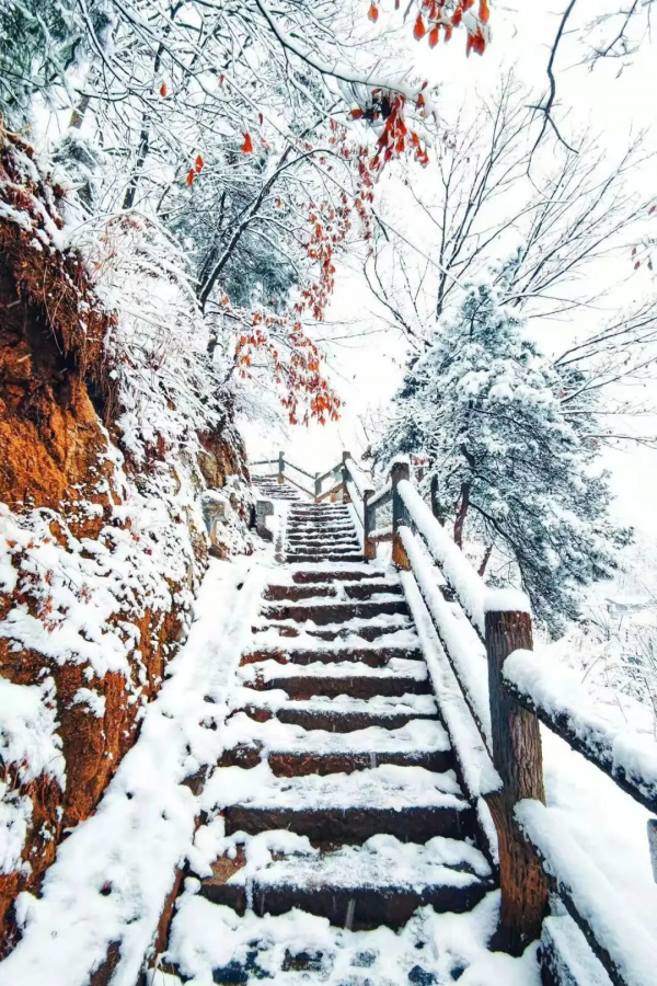 留壩：雪花紛飛迎新春 銀裝素裹靚山城