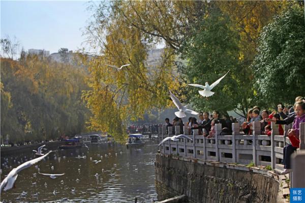 世界春城80佳排行榜：昆明穩居第一，為何中國還有這7座城市入圍